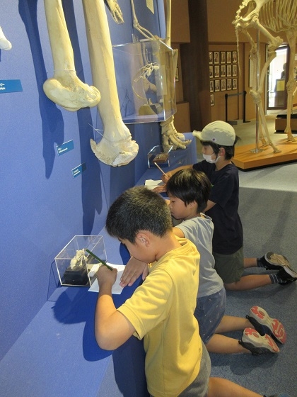 いのちの博物館でエコパークさがみはら主催「夏休み環境学校」