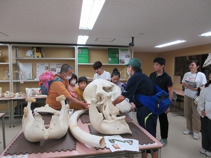 いのちの博物館でエコパークさがみはら主催「夏休み環境学校」