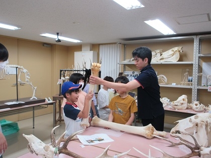 いのちの博物館でエコパークさがみはら主催「夏休み環境学校」