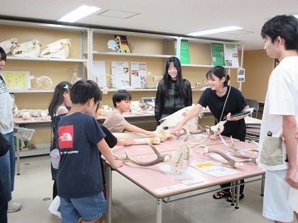 いのちの博物館でエコパークさがみはら主催「夏休み環境学校」
