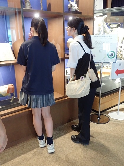 明星高等学校の生徒さんがいのちの博物館に来館