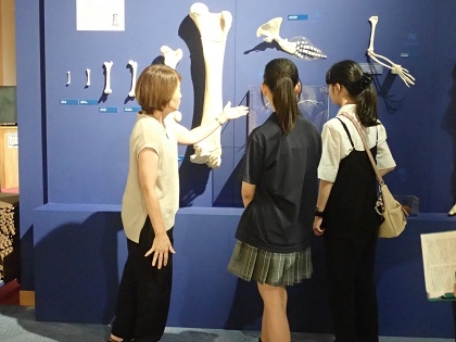 明星高等学校の生徒さんがいのちの博物館に来館