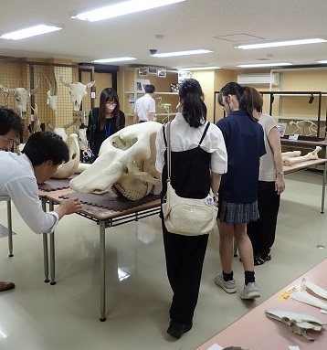 明星高等学校の生徒さんがいのちの博物館に来館