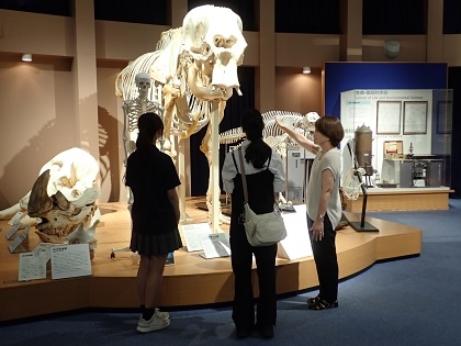 明星高等学校の生徒さんがご来館されました