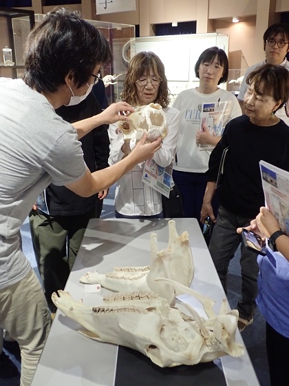 東京動物園ボランティアーズ・ドーセントグループがいのちの博物館に来館