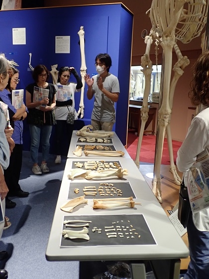 東京動物園ボランティアーズ・ドーセントグループがいのちの博物館に来館