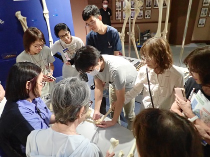 東京動物園ボランティアーズ・ドーセントグループがいのちの博物館に来館