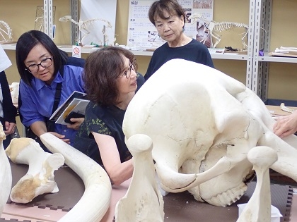 東京動物園ボランティアーズ・ドーセントグループがいのちの博物館に来館