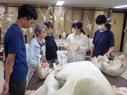 東京動物園ボランティアーズ・ドーセントグループがいのちの博物館に来館