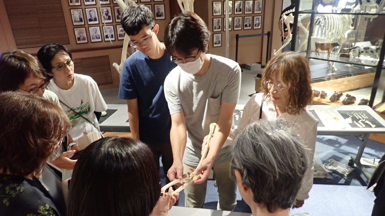 いのちの博物館だより