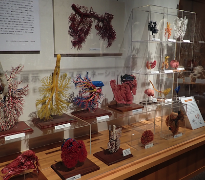 いのちの博物館開館10周年記念展示