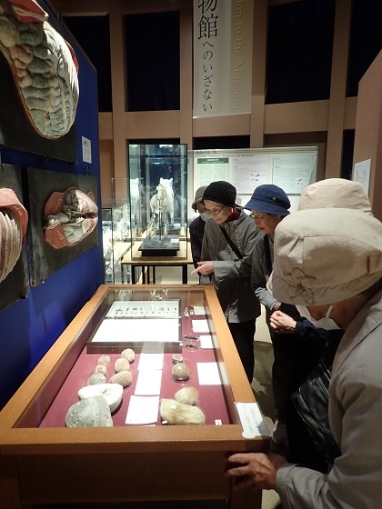 健康づくり教室がいのちの博物館を訪問