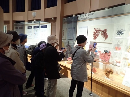 健康づくり教室がいのちの博物館を訪問