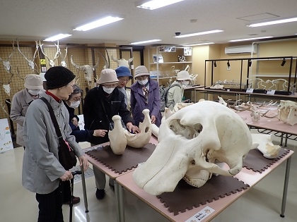 健康づくり教室がいのちの博物館を訪問