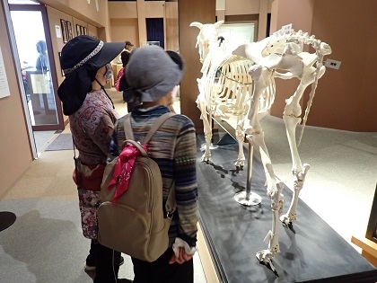 いのちの博物館に健康づくり普及員の方が来館