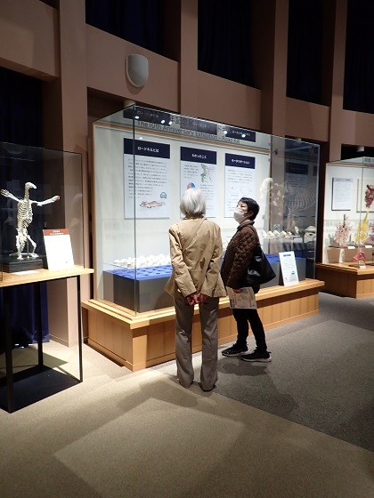 いのちの博物館に健康づくり普及員の方が来館