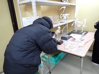 食品生命科学科がいのちの博物館で授業「生理学実習」