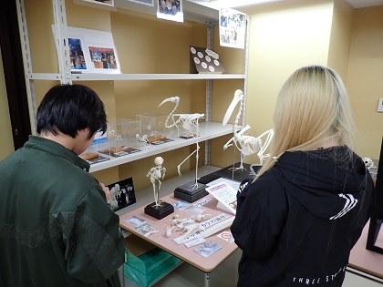 食品生命科学科がいのちの博物館で授業「生理学実習」