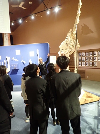 町田総合高校がいのちの博物館に来館