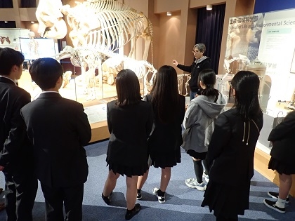町田総合高校がいのちの博物館に来館
