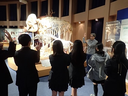 町田総合高校がいのちの博物館に来館