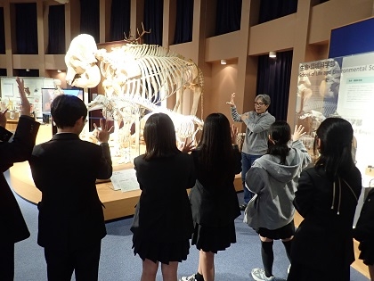 町田総合高校がいのちの博物館に来館