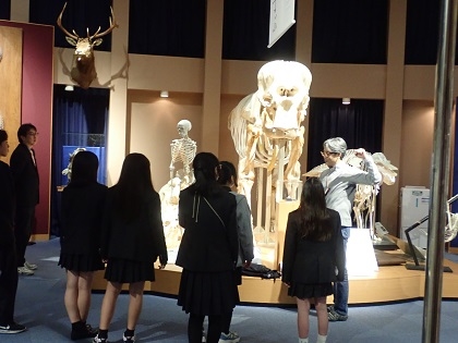 町田総合高校がいのちの博物館に来館