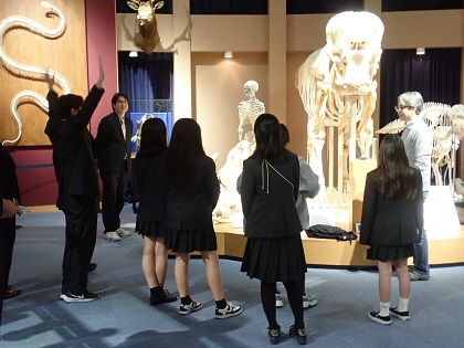 町田総合高校がいのちの博物館に来館