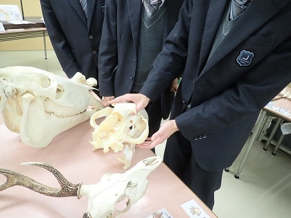 町田総合高校がいのちの博物館に来館