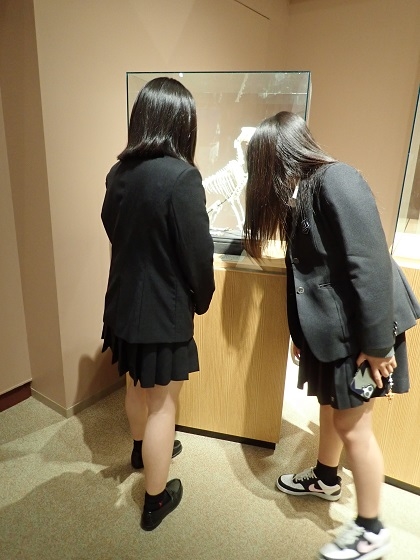 町田総合高校がいのちの博物館に来館