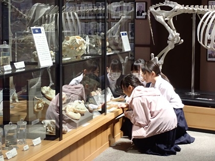 上溝南中がいのちの博物館に来館
