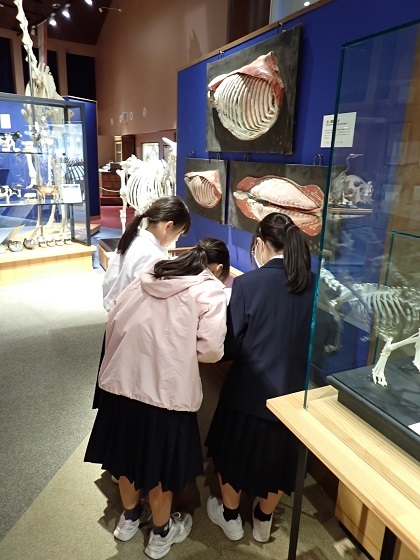 上溝南中がいのちの博物館に来館