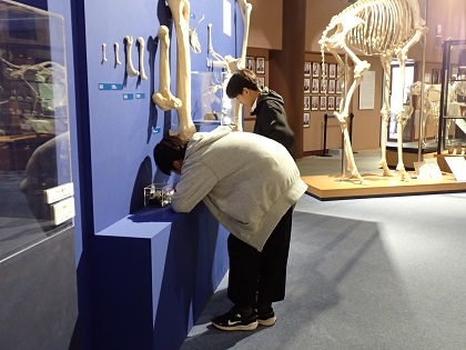 上溝南中がいのちの博物館に来館