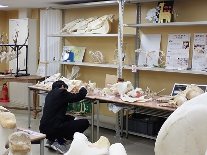 上溝南中がいのちの博物館に来館