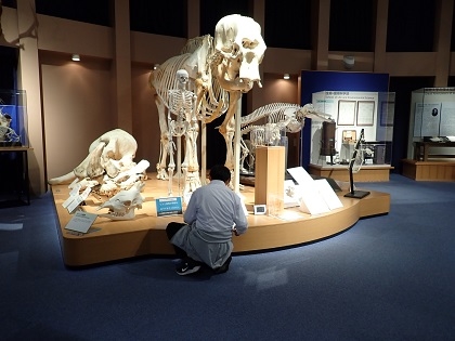 上溝南中がいのちの博物館に来館