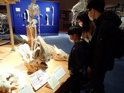 いのちの博物館が相模原市中央区バスツアーのコースに