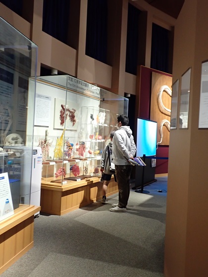 いのちの博物館が相模原市中央区バスツアーのコースに