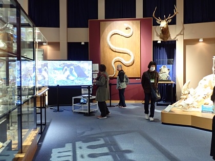 いのちの博物館が相模原市中央区バスツアーのコースに