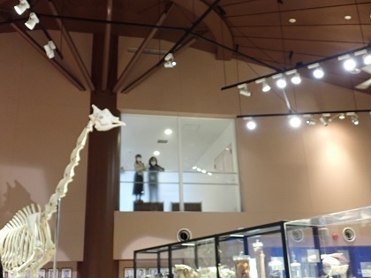 相模原市中央区のバスツアーにご参加の皆様が来館されました