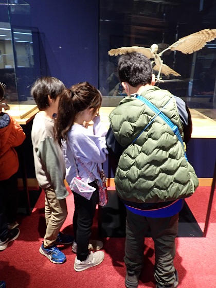 淵野辺小学校杉の子級がいのちの博物館に来館