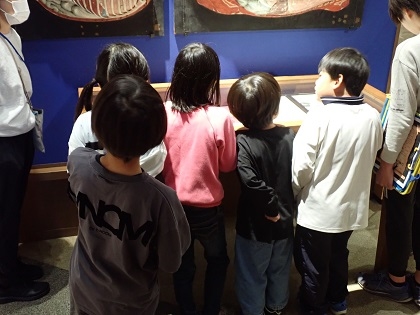 淵野辺小学校杉の子級がいのちの博物館に来館