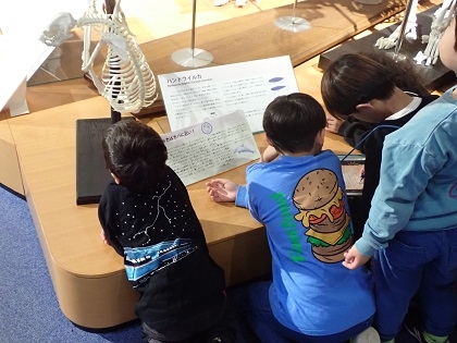 淵野辺小学校杉の子級がいのちの博物館に来館