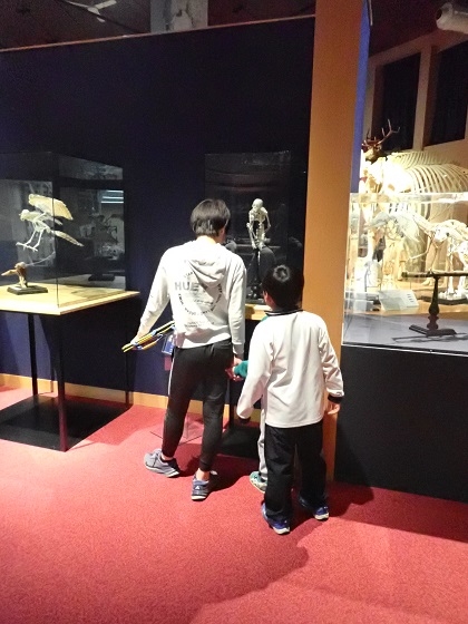 淵野辺小学校杉の子級がいのちの博物館に来館