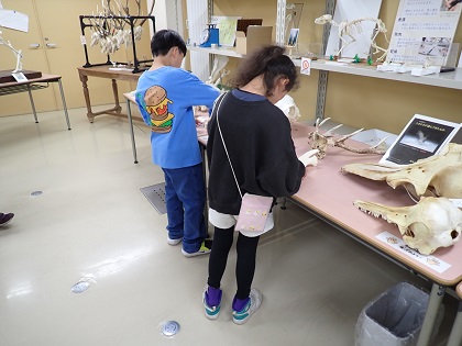 淵野辺小学校杉の子級がいのちの博物館に来館