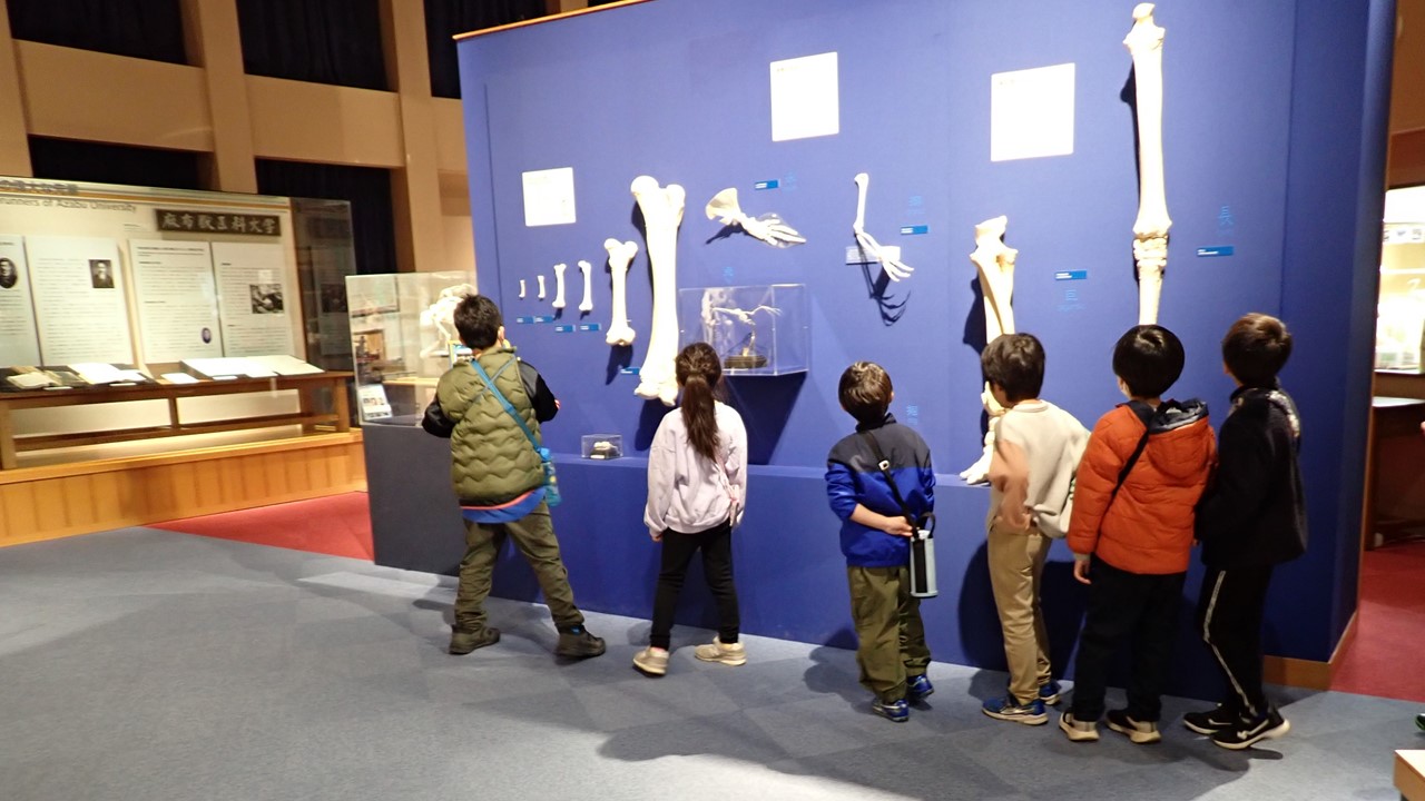 淵野辺小学校杉の子級の皆さんが来館されました