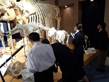 麻溝台中学がいのちの博物館に来館