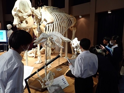 いのちの博物館だより