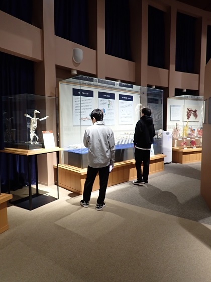 動物応用科学科2年次がいのちの博物館で授業