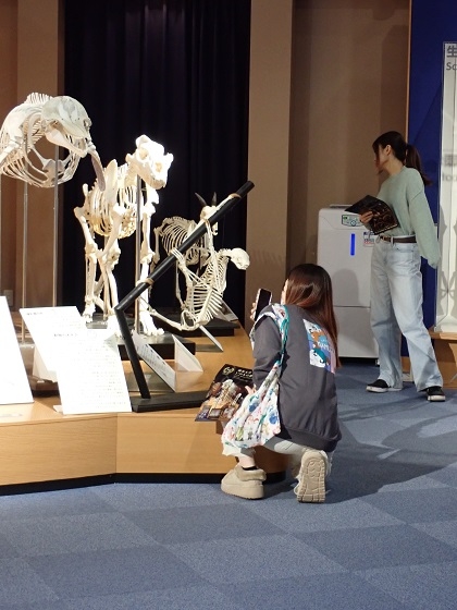 動物応用科学科2年次がいのちの博物館で授業