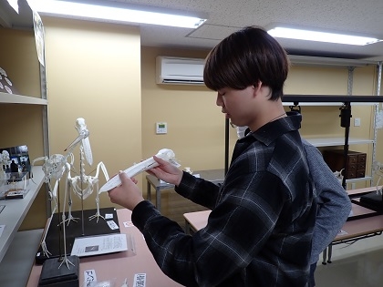 動物応用科学科2年次がいのちの博物館で授業